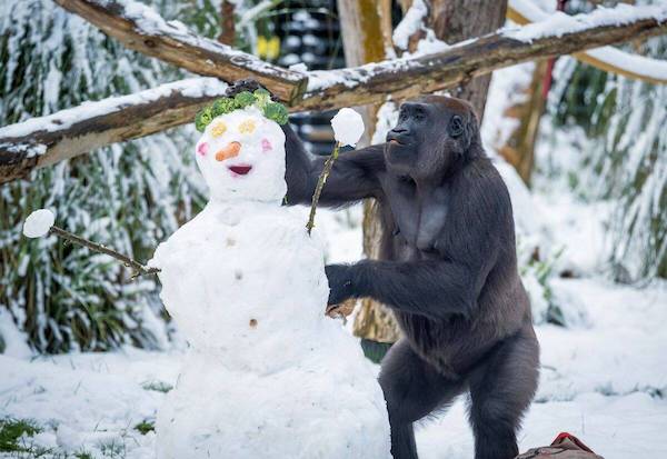 Weekend Afternoon Randomness Best Interesting and WTF Funny Photos
