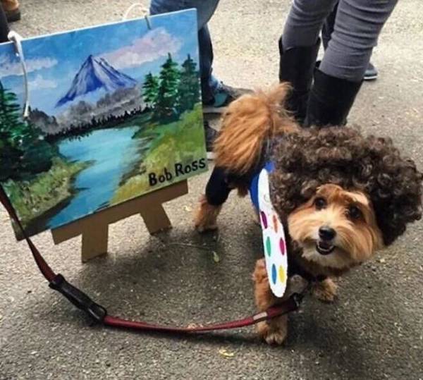 Weekend Afternoon Randomness Best Humor Pictures and WTF Funny Photos