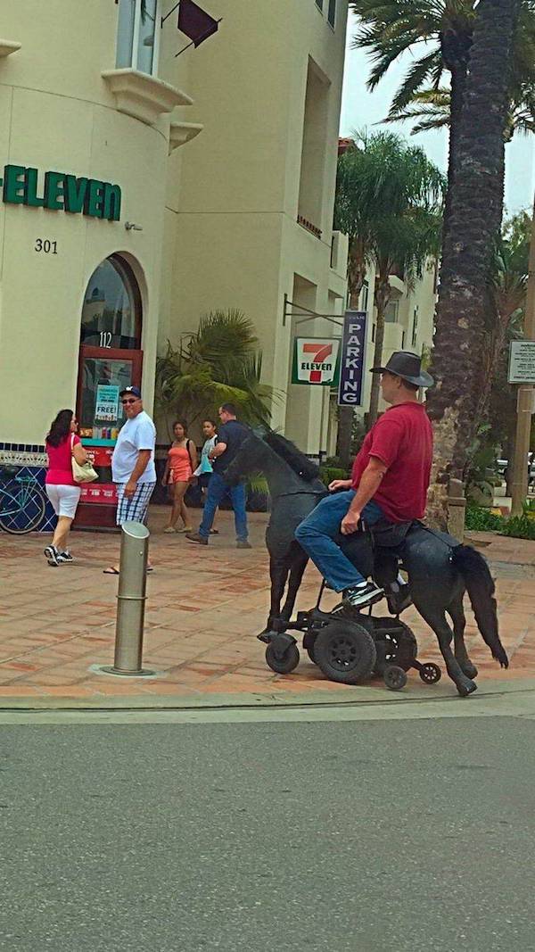 Weekend Afternoon Randomness Best Humor Pictures and WTF Funny Photos