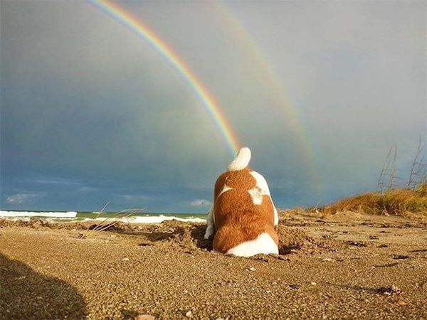 Weekend Afternoon Randomness Best Interesting and WTF Funny Photos