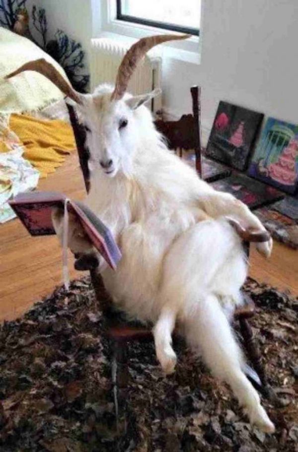 Weekend Afternoon Randomness Best Interesting and WTF Funny Photos