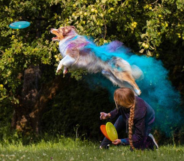 Weekend Afternoon Randomness Best Interesting and WTF Funny Photos