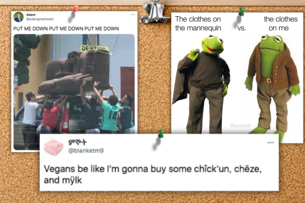 Random Memes I Refuse to Delete From My Computer (Part 21)