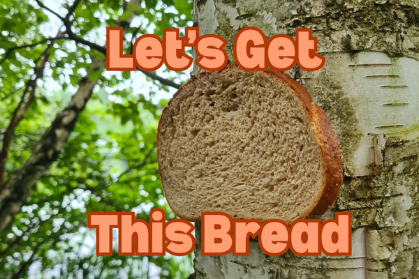 Who Knew Bread Stapled To A Tree Could Be So Beautiful?
