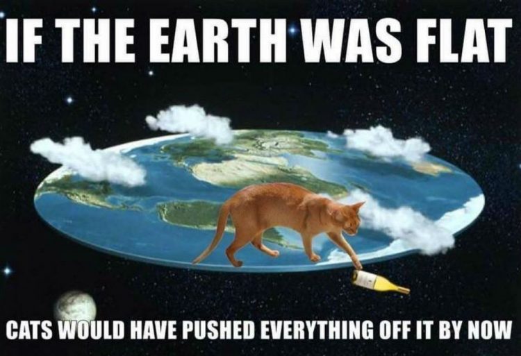 Polipaw-Cat-Memes-35-e1616457980321.jpg