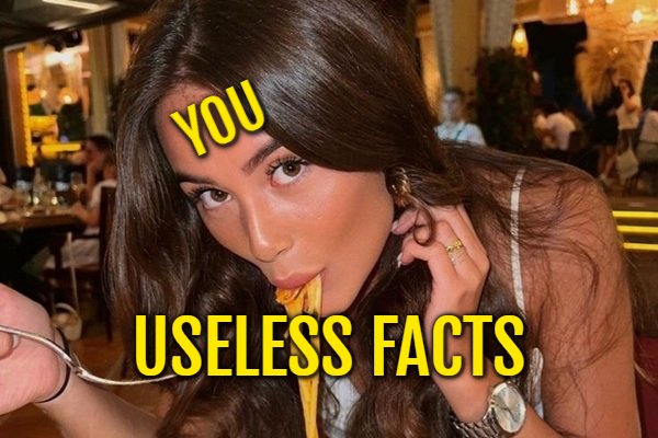 17 Random Facts That I’ve Already Forgotten