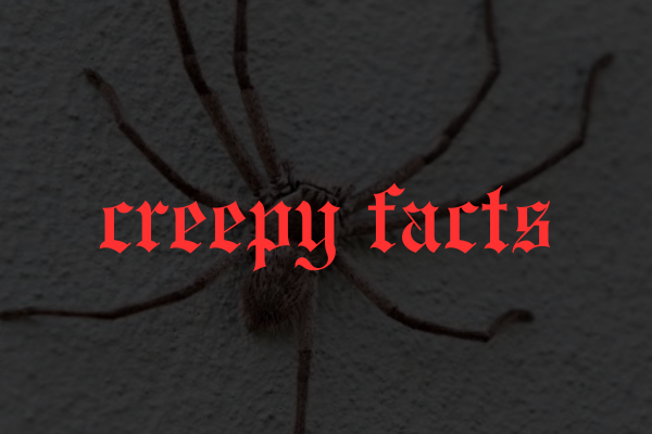 Creepy Facts That Will Chill You To The Bone