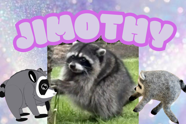 Meme Of The Week: Jimothy The Raccoon theCHIVE