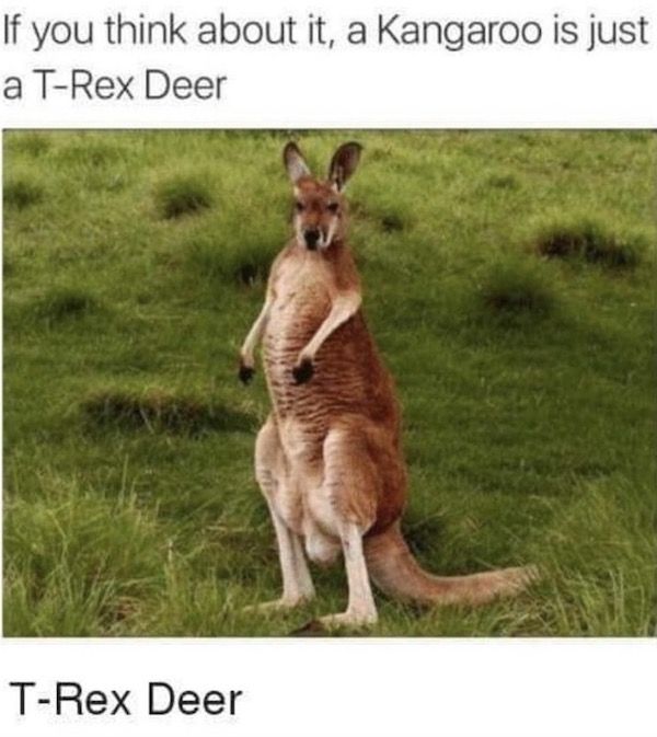 Daily Morning Awesomeness theCHIVE