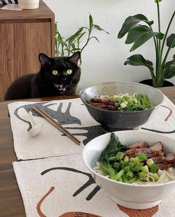 Daily Afternoon Randomness theCHIVE