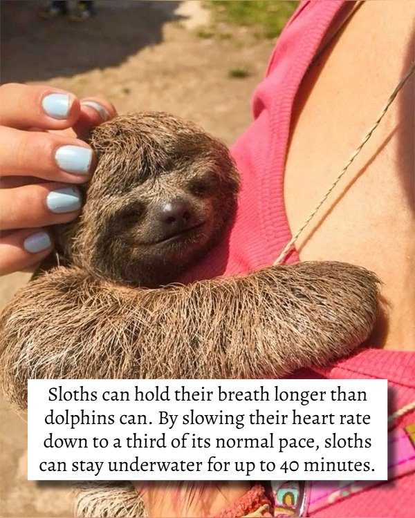 Random Facte 17 Useless Facts That're Random Yet Interesting theCHIVE