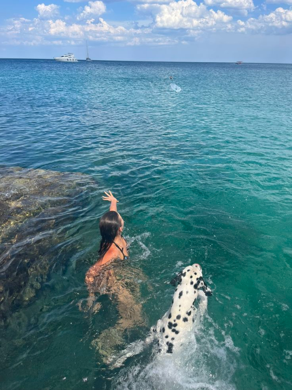 Dogs Always Know How To Have A Good Time! theCHIVE