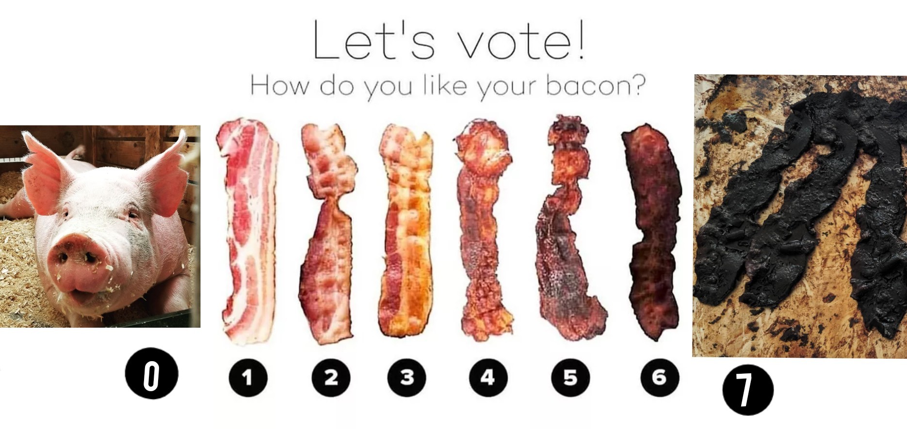 Breakfast Memes Are The Most Important Meal Of The Day