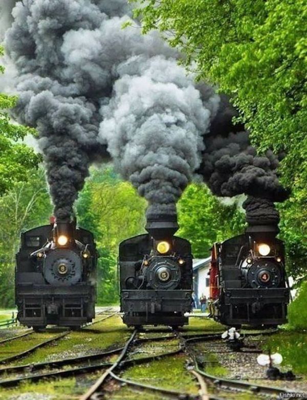Daily Morning Awesomeness theCHIVE