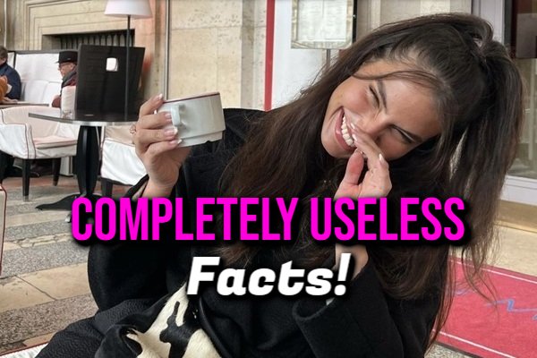 These 17 Facts Could Not Be More Useless