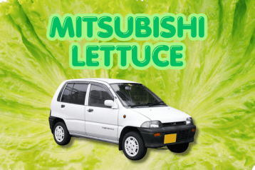 car names