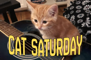 cat saturday (28)