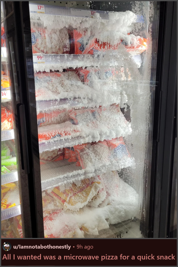 20 People Who Had a Worse Day Than You theCHIVE