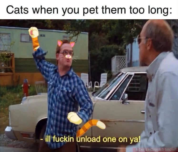 Dank memes? We've got 'em!