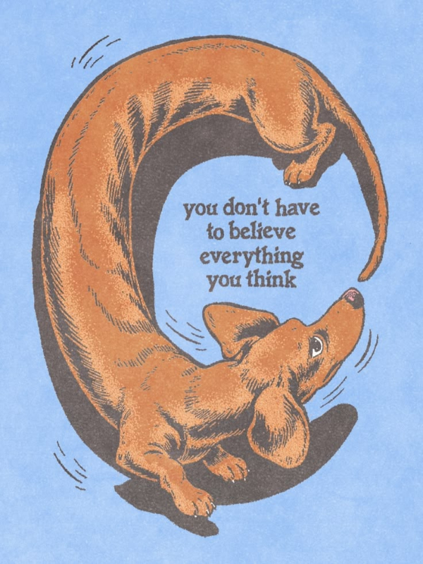 Daily Afternoon Randomness