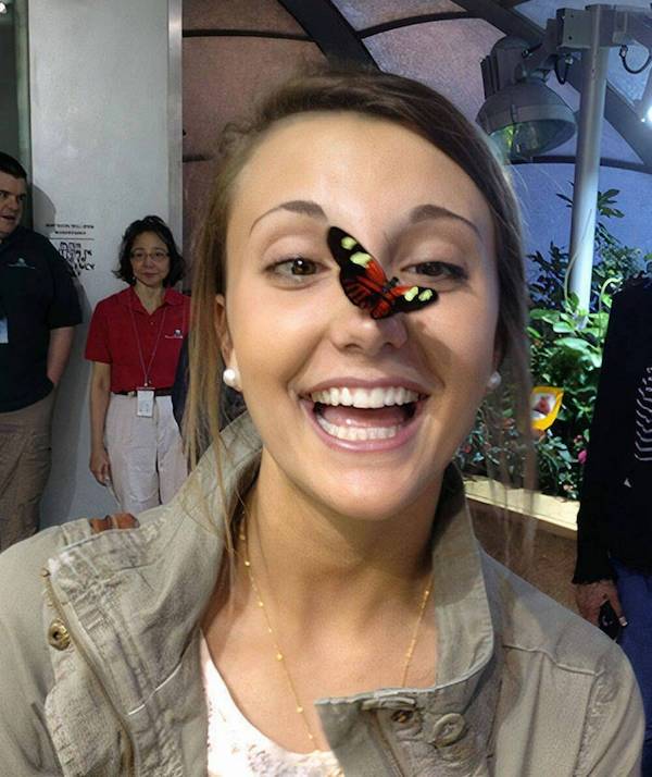 Daily Afternoon Randomness theCHIVE