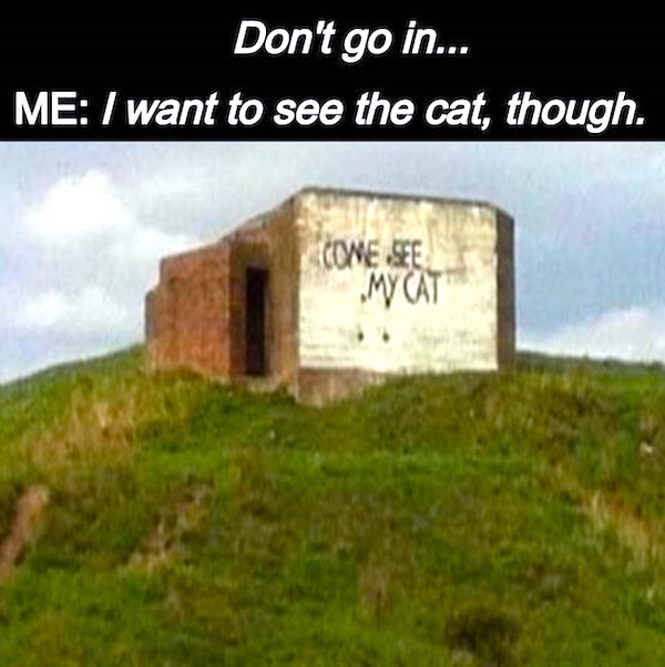 Daily Morning Awesomeness theCHIVE