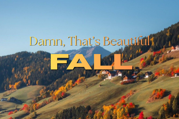 Damn, That’s Beautiful – Fall Colours