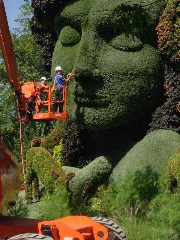 Weekend Afternoon Randomness theCHIVE