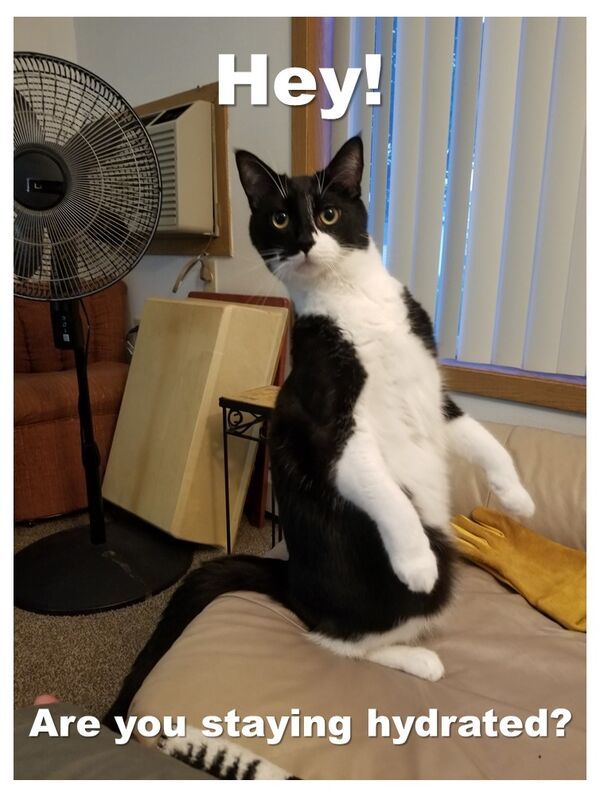 Weekend Morning Awesomeness theCHIVE