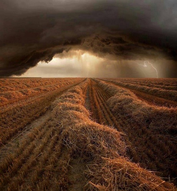 Weekend Morning Awesomeness theCHIVE