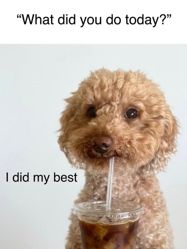 Daily Evening Randomness