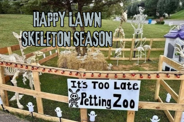 We’re All Just Flesh-Covered Skeletons, Really