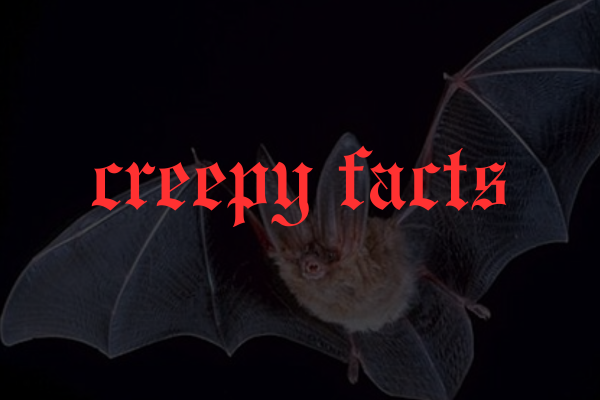 Creepy Facts That Will Chill You To The Bone