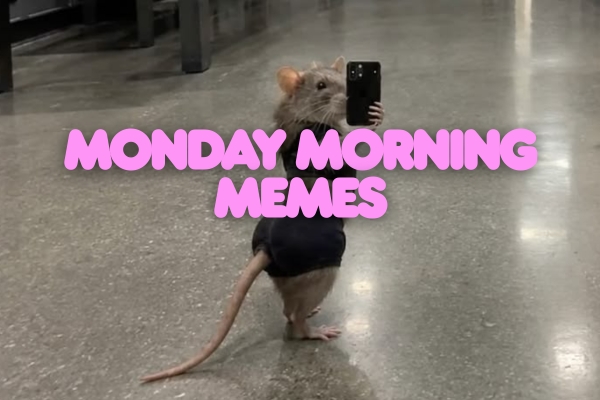 Monday Morning Memes