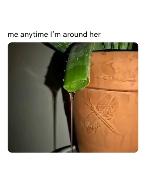 Make Monday Better With Spicy Memes